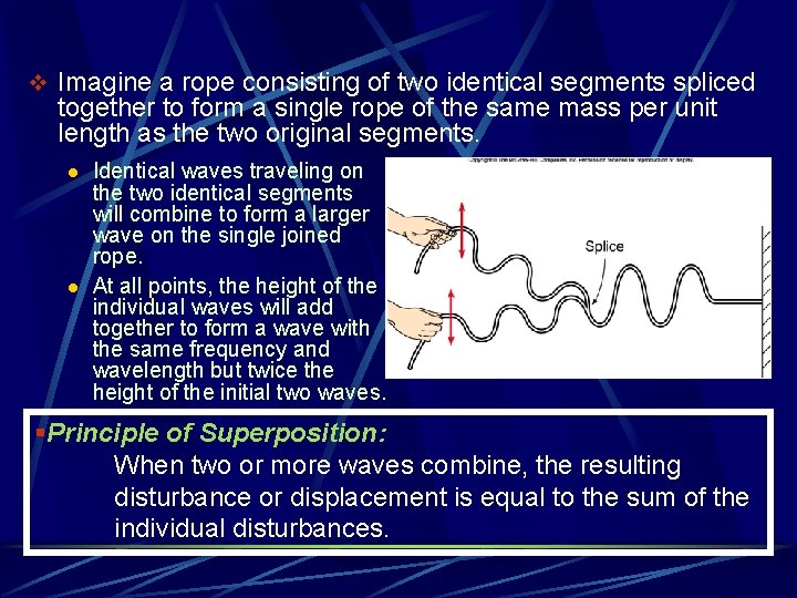 v Imagine a rope consisting of two identical segments spliced together to form a