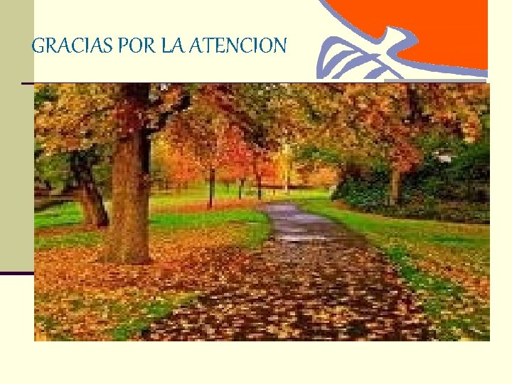 GRACIAS POR LA ATENCION 