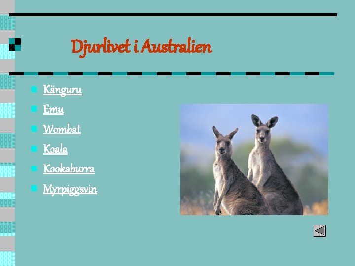 Djurlivet i Australien n n n Känguru Emu Wombat Koala Kookaburra Myrpiggsvin 