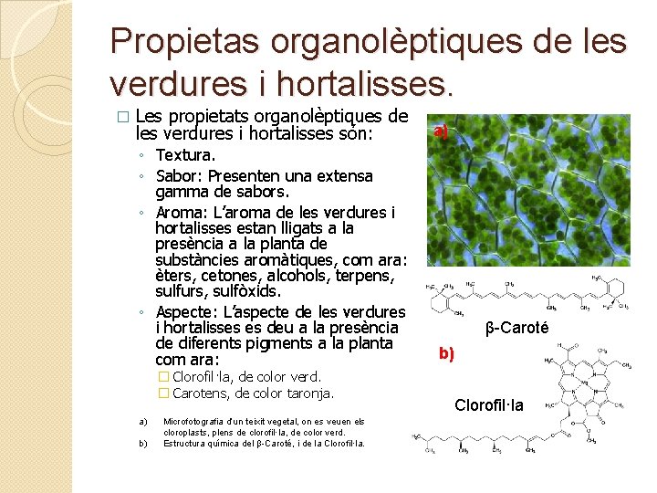 Propietas organolèptiques de les verdures i hortalisses. � Les propietats organolèptiques de les verdures