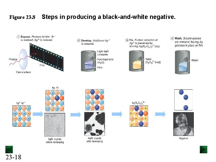 Figure 23. 8 23 -18 Steps in producing a black-and-white negative. 