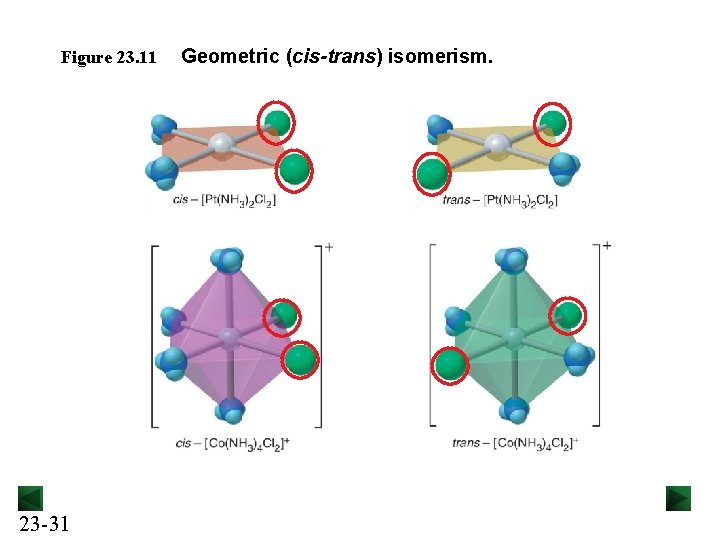 Figure 23. 11 23 -31 Geometric (cis-trans) isomerism. 
