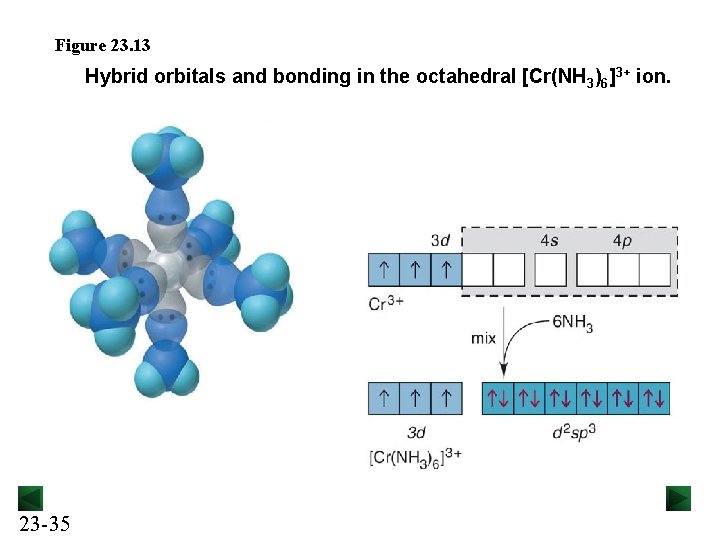 Figure 23. 13 Hybrid orbitals and bonding in the octahedral [Cr(NH 3)6]3+ ion. 23