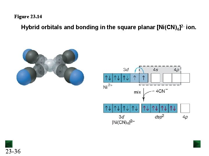 Figure 23. 14 Hybrid orbitals and bonding in the square planar [Ni(CN) 4]2 -