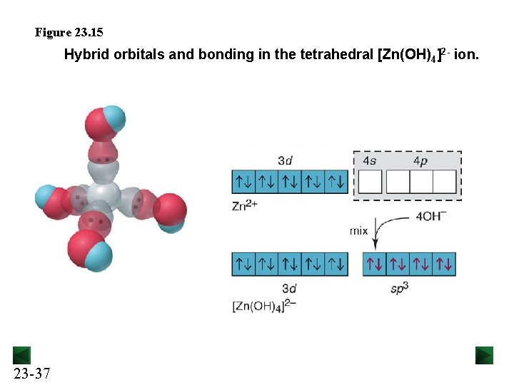 Figure 23. 15 Hybrid orbitals and bonding in the tetrahedral [Zn(OH)4]2 - ion. 23