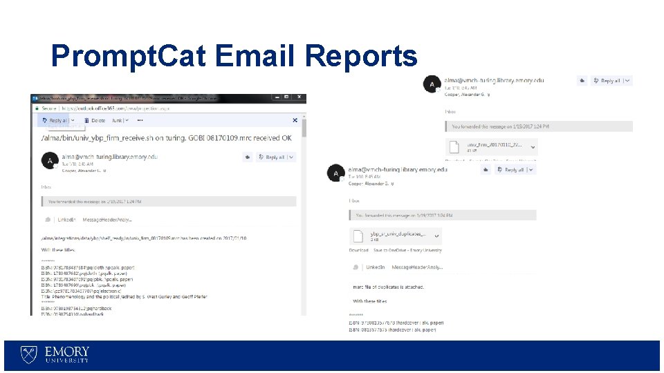 Prompt. Cat Email Reports 