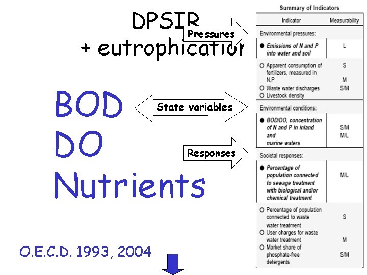 DPSIR Pressures + eutrophication BOD DO Nutrients State variables Responses O. E. C. D.