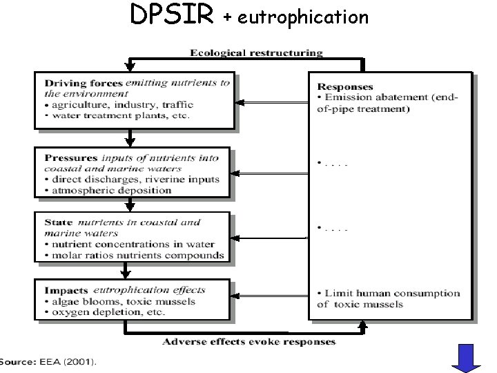 DPSIR + eutrophication 