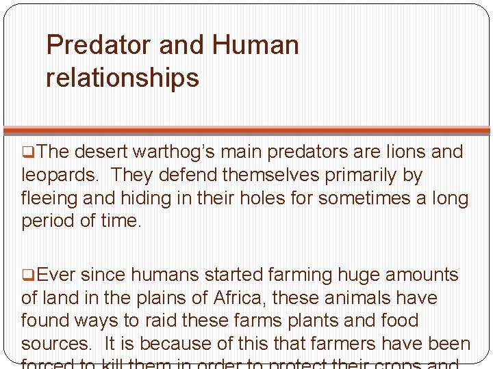 Predator and Human relationships q. The desert warthog’s main predators are lions and leopards.