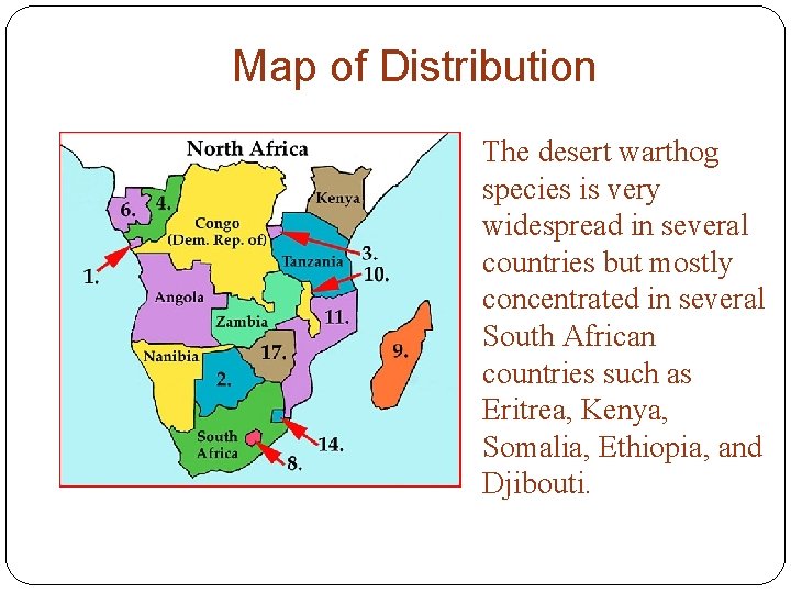 Map of Distribution The desert warthog species is very widespread in several countries but