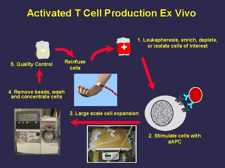 Activated T Cell Production Ex Vivo 1. Leukapheresis, enrich, deplete, or isolate cells of