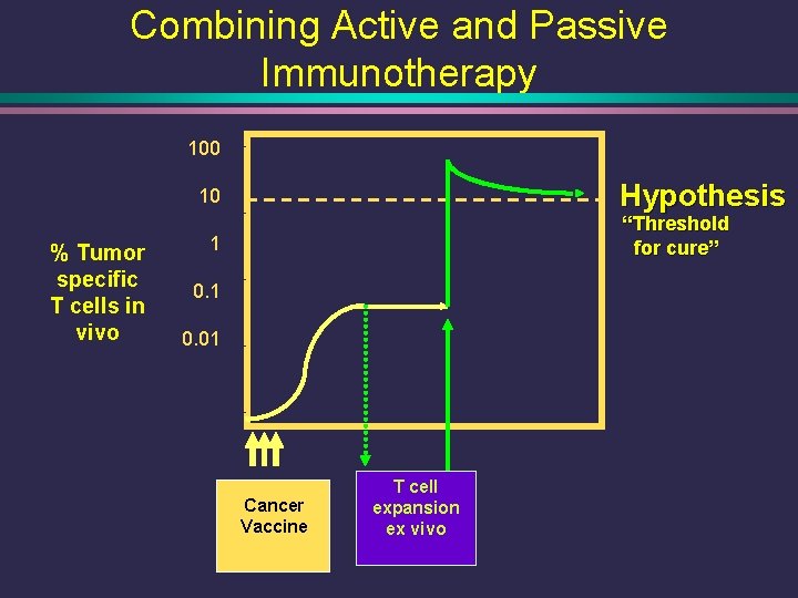 Combining Active and Passive Immunotherapy 100 Hypothesis 10 % Tumor specific T cells in