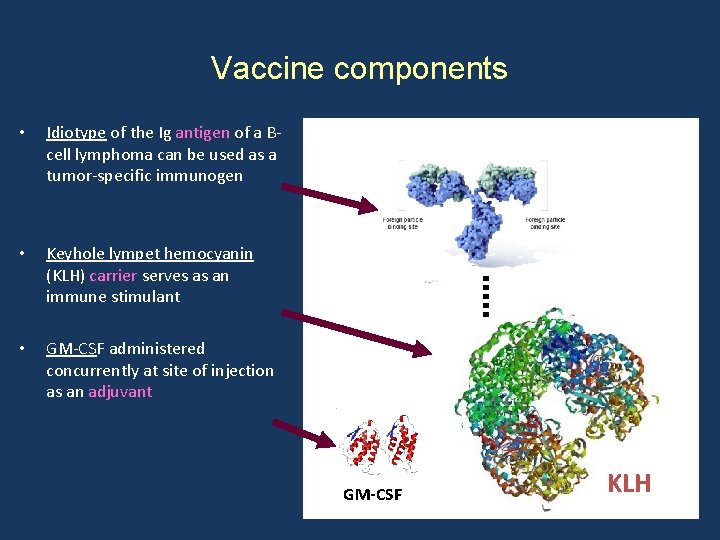 Vaccine components • Idiotype of the Ig antigen of a Bcell lymphoma can be