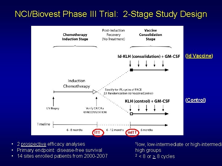 NCI/Biovest Phase III Trial: 2 -Stage Study Design (Id Vaccine) Chemo LN Bx Stratify