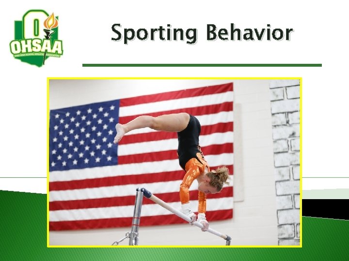 Sporting Behavior Sporting Behavior