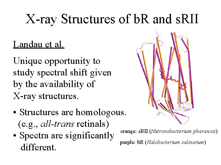 X-ray Structures of b. R and s. RII Landau et al. Unique opportunity to
