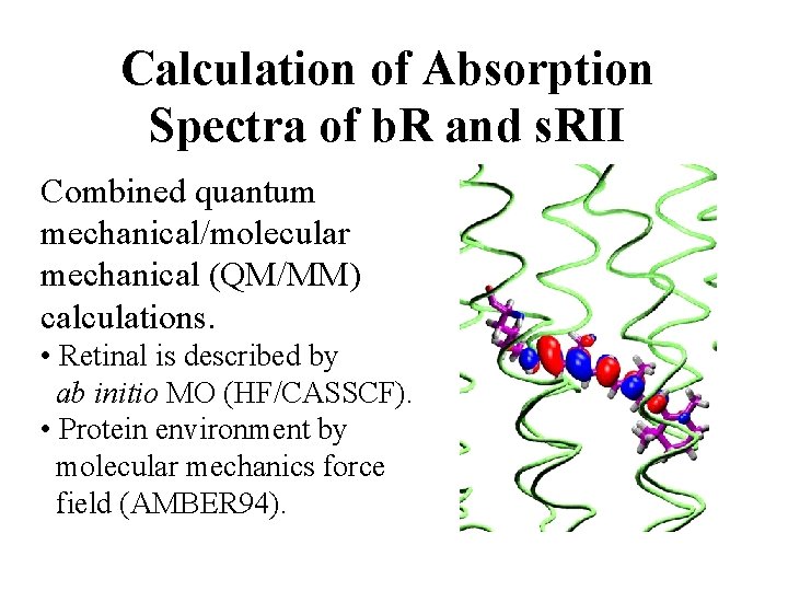 Calculation of Absorption Spectra of b. R and s. RII Combined quantum mechanical/molecular mechanical