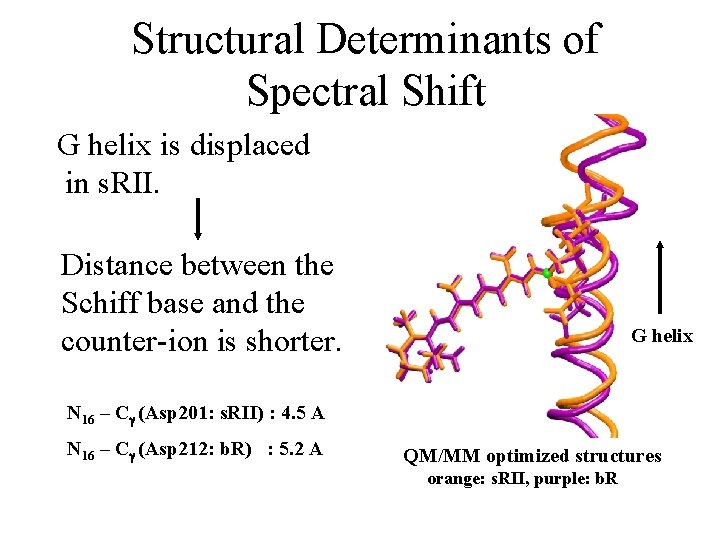 Structural Determinants of Spectral Shift G helix is displaced in s. RII. Distance between