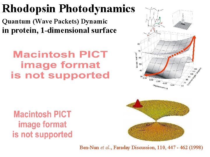 Rhodopsin Photodynamics Quantum (Wave Packets) Dynamic in protein, 1 -dimensional surface Ben-Nun et al.