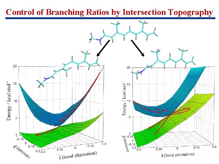 Control of Branching Ratios by Intersection Topography 