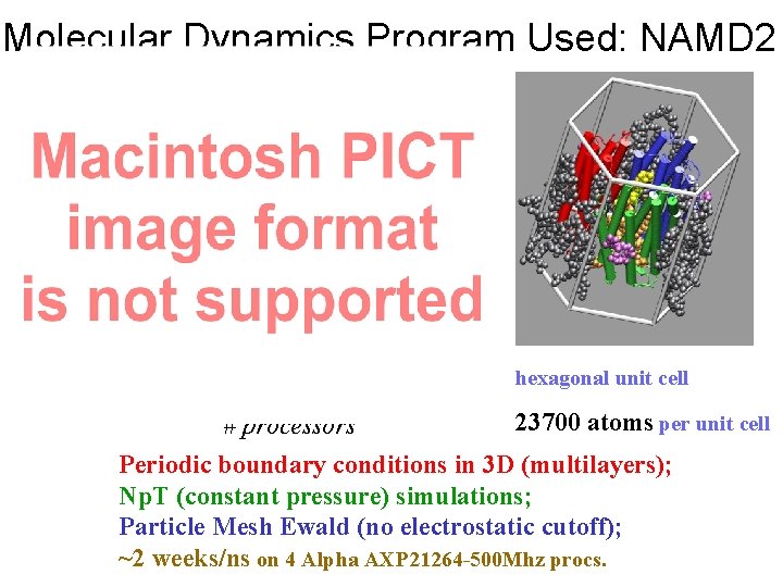 Molecular Dynamics Program Used: NAMD 2 hexagonal unit cell 23700 atoms per unit cell