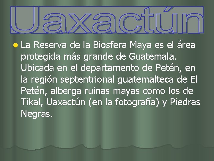 l La Reserva de la Biosfera Maya es el área protegida más grande de