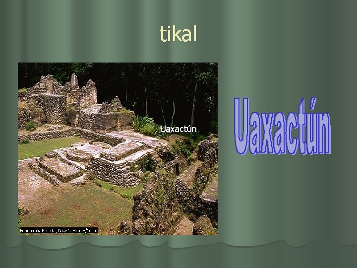 tikal Uaxactún 