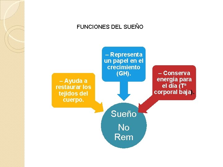 FUNCIONES DEL SUEÑO – Representa un papel en el crecimiento (GH). – Ayuda a