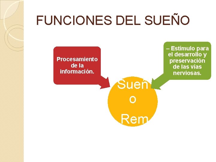 FUNCIONES DEL SUEÑO – Estímulo para el desarrollo y preservación de las vías nerviosas.