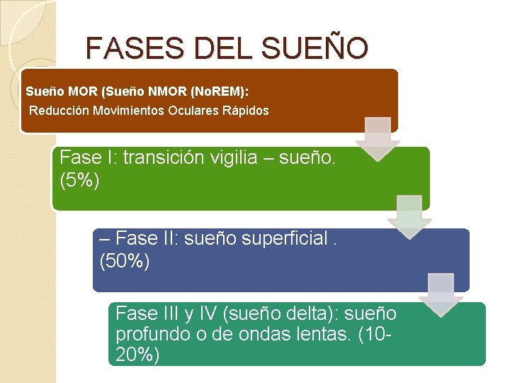 FASES DEL SUEÑO Sueño MOR (Sueño NMOR (No. REM): Reducción Movimientos Oculares Rápidos Fase