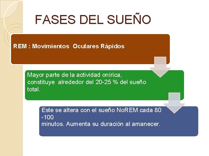 FASES DEL SUEÑO REM : Movimientos Oculares Rápidos Mayor parte de la actividad onírica,