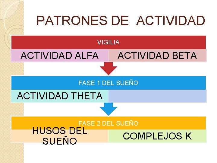 PATRONES DE ACTIVIDAD VIGILIA ACTIVIDAD ALFA ACTIVIDAD BETA FASE 1 DEL SUEÑO ACTIVIDAD THETA