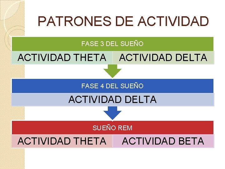 PATRONES DE ACTIVIDAD FASE 3 DEL SUEÑO ACTIVIDAD THETA ACTIVIDAD DELTA FASE 4 DEL