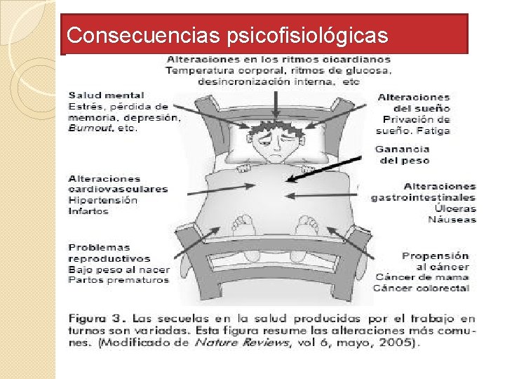 Consecuencias psicofisiológicas 