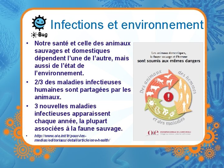 Infections et environnement • Notre santé et celle des animaux sauvages et domestiques dépendent