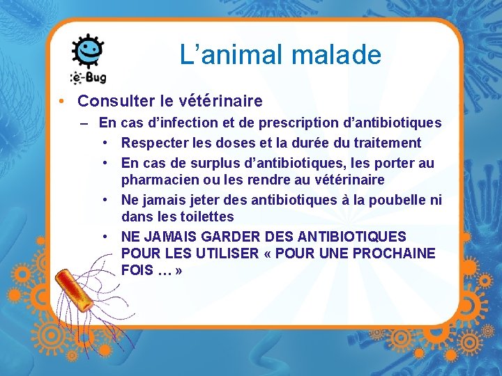 L’animal malade • Consulter le vétérinaire – En cas d’infection et de prescription d’antibiotiques