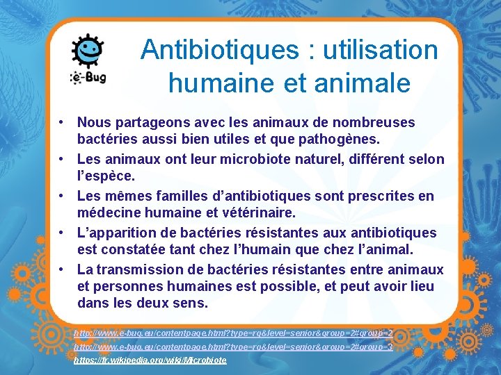 Antibiotiques : utilisation humaine et animale • Nous partageons avec les animaux de nombreuses