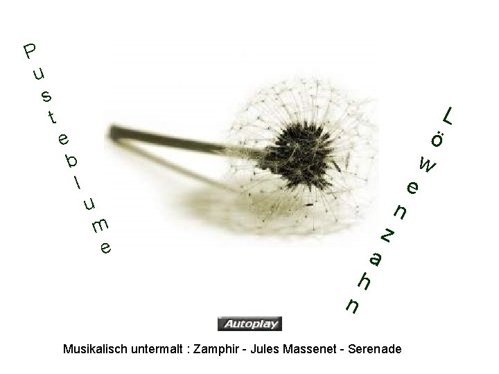 P u s t e b l u m e n h a z