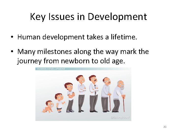 Key Issues in Development • Human development takes a lifetime. • Many milestones along