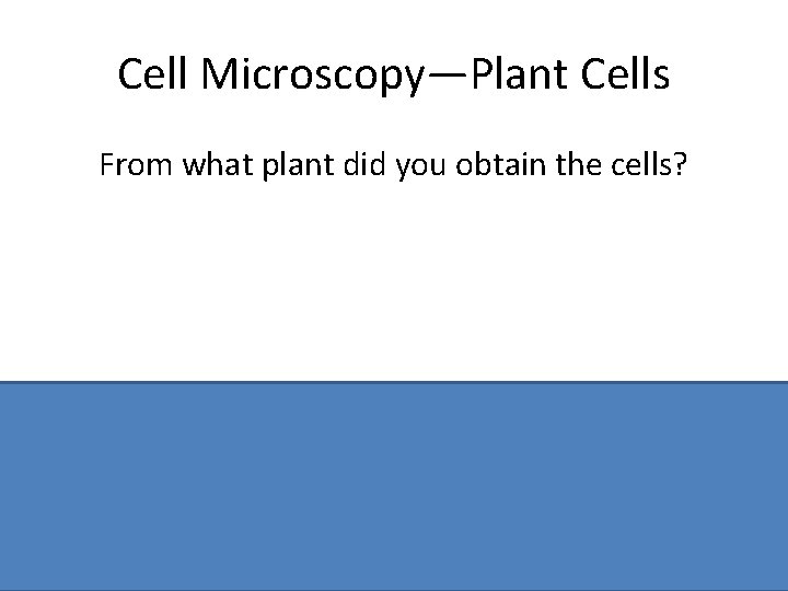 Cell Microscopy—Plant Cells From what plant did you obtain the cells? Name of plant,