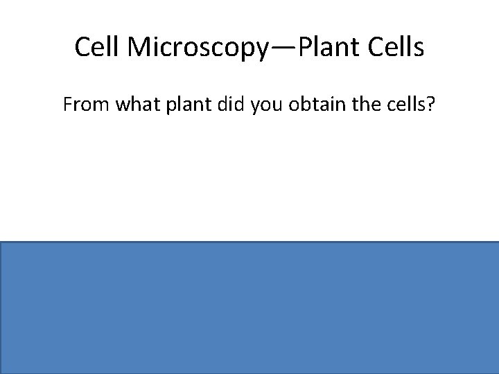 Cell Microscopy—Plant Cells From what plant did you obtain the cells? Any named plant,