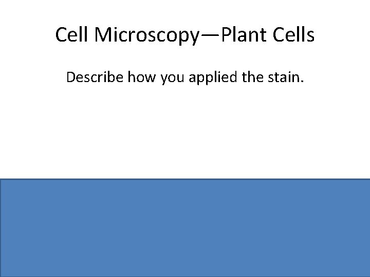 Cell Microscopy—Plant Cells Describe how you applied the stain. With a dropper / Under