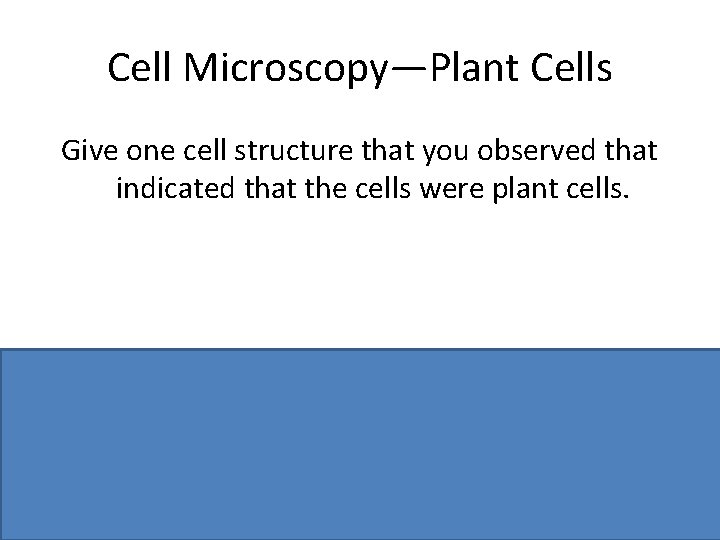 Cell Microscopy—Plant Cells Give one cell structure that you observed that indicated that the