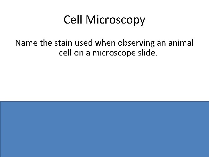 Cell Microscopy Name the stain used when observing an animal cell on a microscope