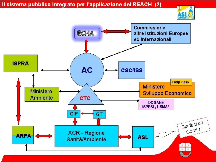 Il sistema pubblico integrato per l'applicazione del REACH (2) Commissione, altre Istituzioni Europee ed