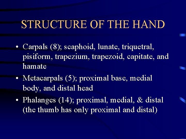 STRUCTURE OF THE HAND • Carpals (8); scaphoid, lunate, triquetral, pisiform, trapezium, trapezoid, capitate,