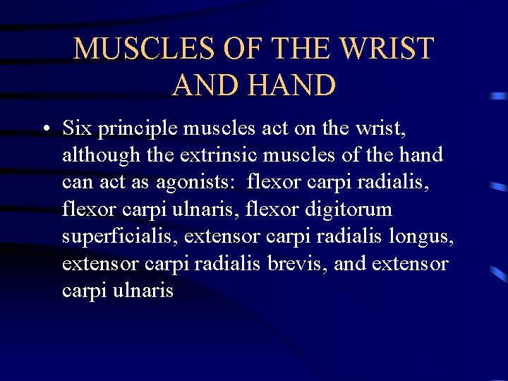 MUSCLES OF THE WRIST AND HAND • Six principle muscles act on the wrist,