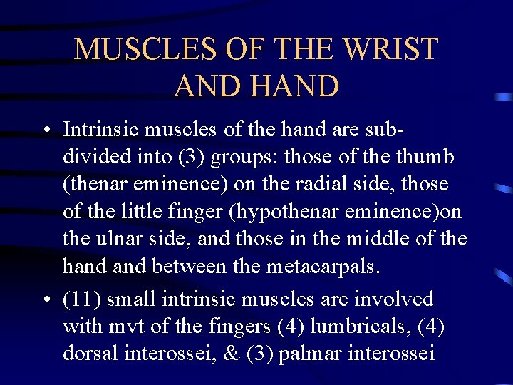 MUSCLES OF THE WRIST AND HAND • Intrinsic muscles of the hand are subdivided