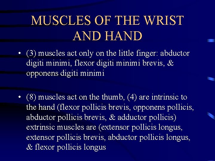 MUSCLES OF THE WRIST AND HAND • (3) muscles act only on the little