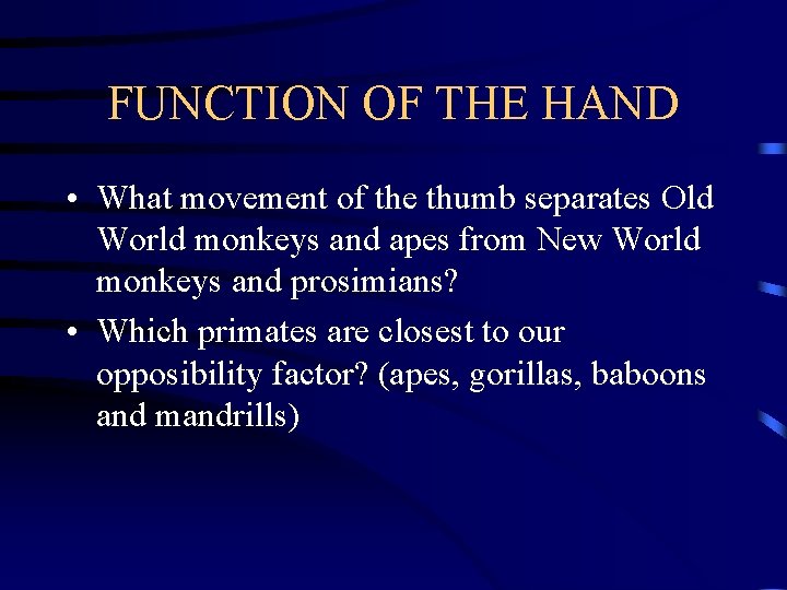 FUNCTION OF THE HAND • What movement of the thumb separates Old World monkeys